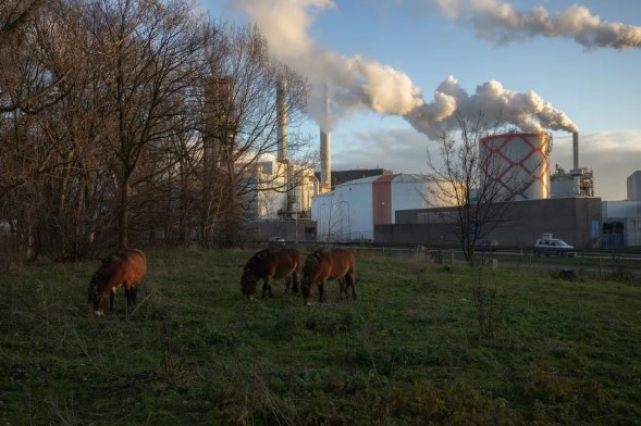 李嘉誠旗下公司計畫收購荷蘭垃圾焚燒熱電廠